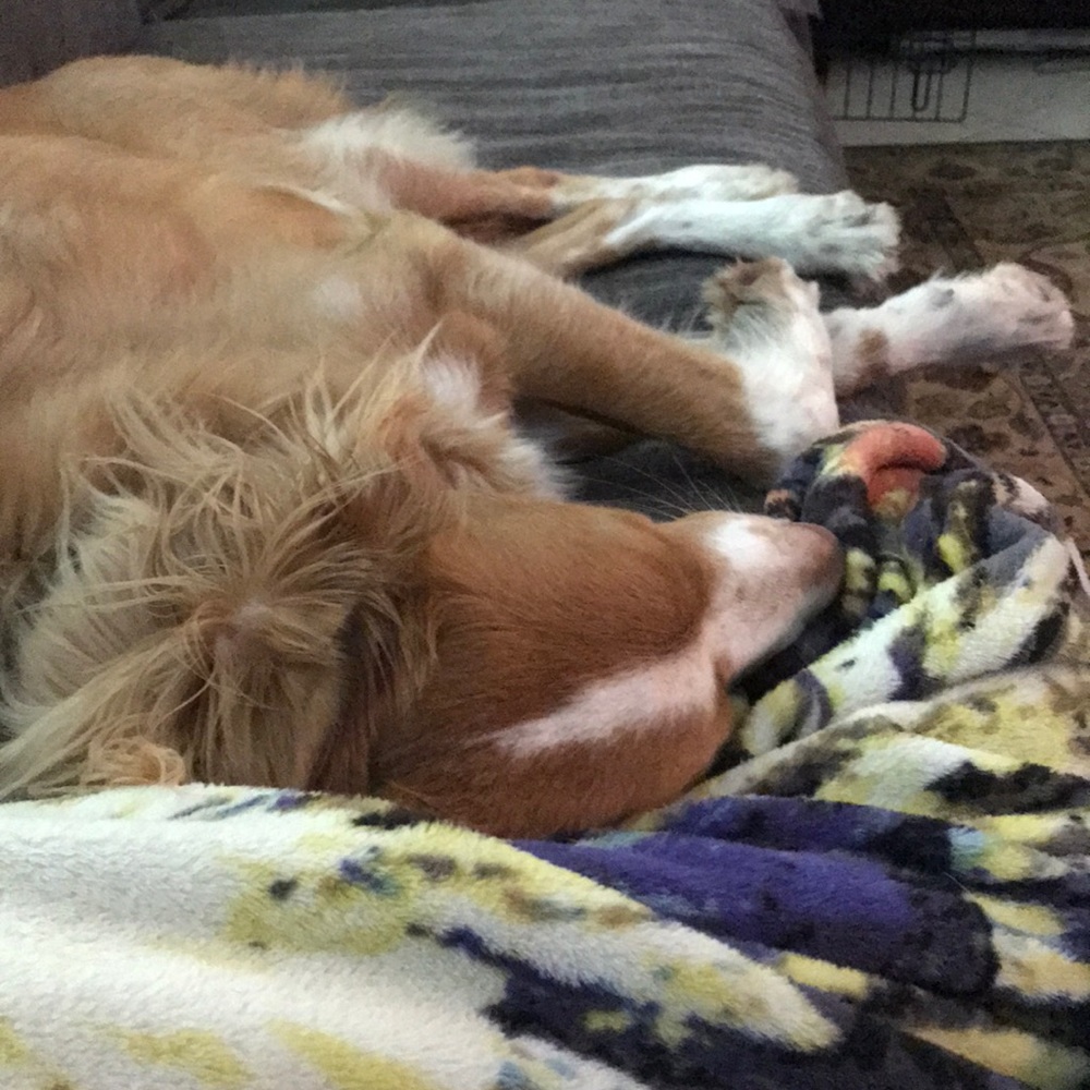 Meet your Posher, Melissa